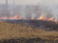 0406bb4700d9cda278c53da318f34cc2-image.jpg 0406bb4700d9cda278c53da318f34cc2-image.jpg