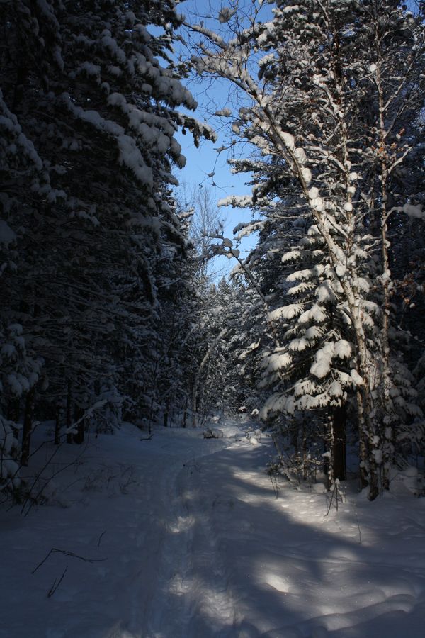 пора домой! 