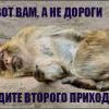 Вот вам а не дороги