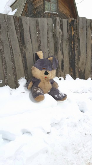 Зайку бросила хозяйка))))))