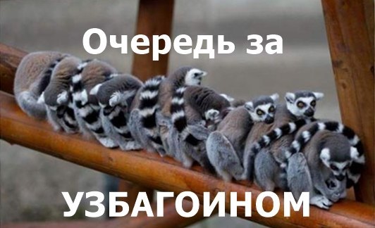 очередь за узбагоином))))