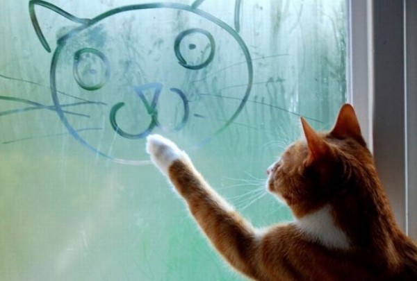 Настроение)))))) Настроение))))))