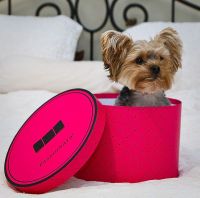 о,это так мило..