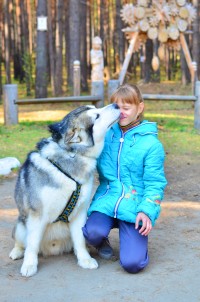 маламуты маламуты