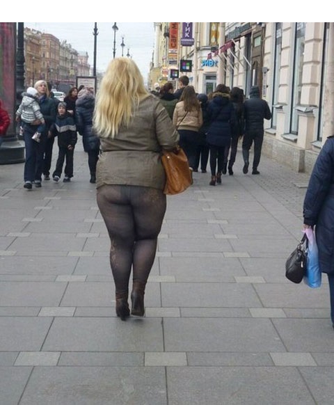 темперамент кошки - грация картошки