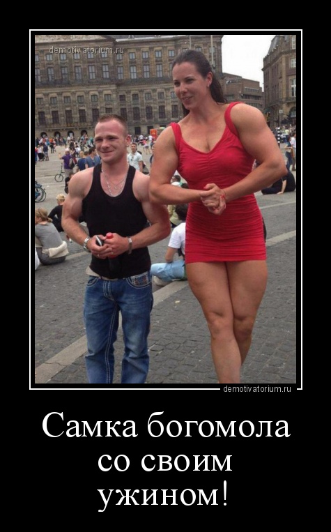 самка богомола со своим ужином)))))