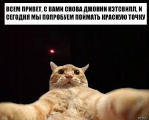 Джонни Кэтсвилл)))))