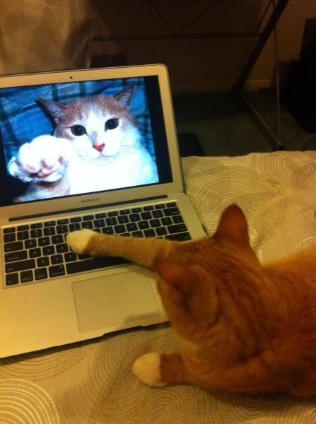 дело было вечером )))