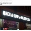 цветы шары медведи))))))