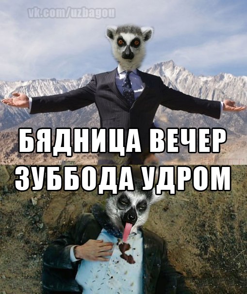бядница зубота))))))