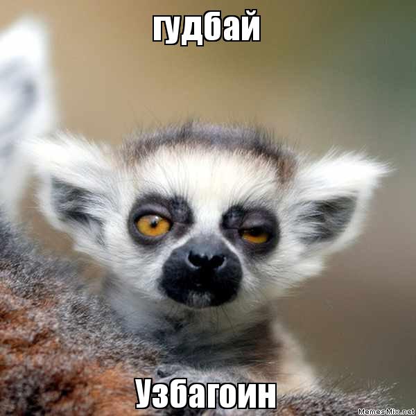 гудбай узбагоин))))))