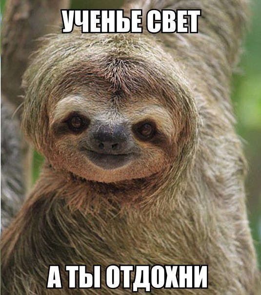 отдохнин)))))