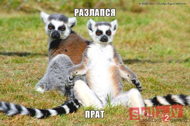 разлапзя прад)))))))