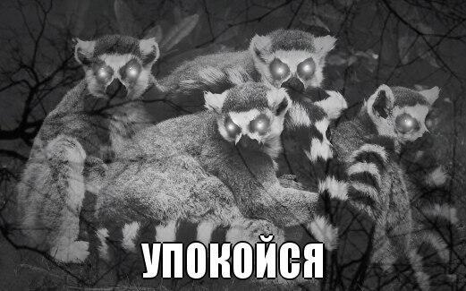 упокойзя)))))