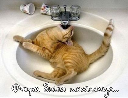 Я с утра сиводня в панидельнек)))))