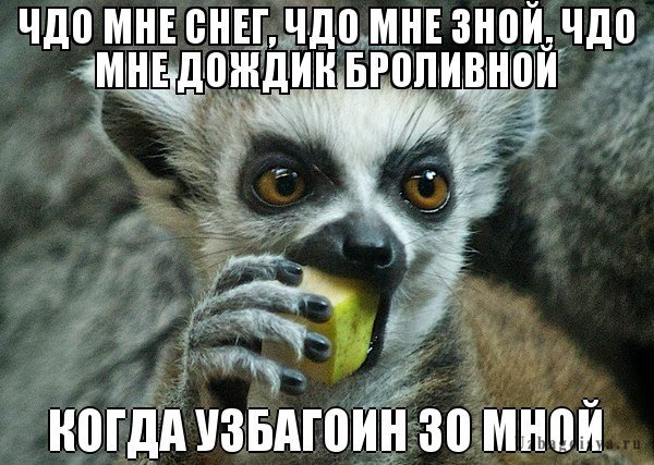 ждо мне знег ждо мне здной))))))