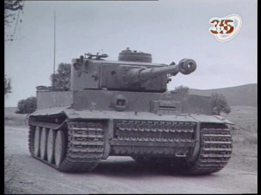 Год ТИГРА наступил!