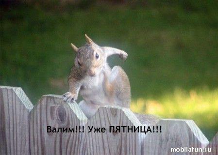 И снова Пятницо!