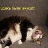 Здесь были внуки