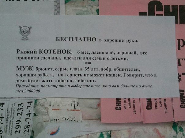 Бесплатно ... ))))