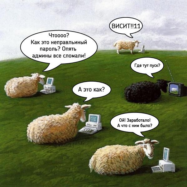 Опять админы все сломали!