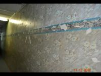 Кадр из видеоролика