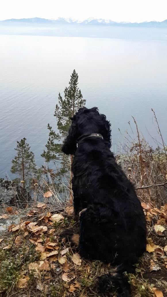 Счастье — это не просто, быть кому-то нужным. Счастье — это быть нужным тому, кто нужен тебе.