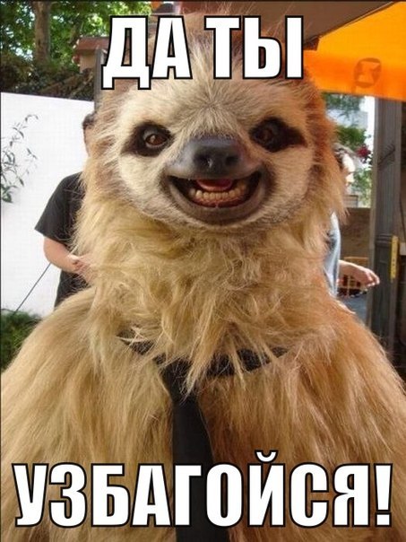 да ды узбагойзя)))))