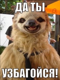 да ды узбагойзя)))))