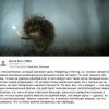 5 Ежик в тумане