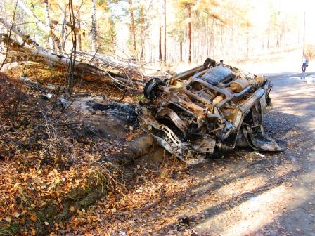 на подсочке