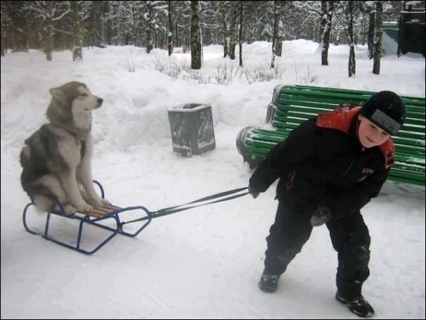 в память о зиме))