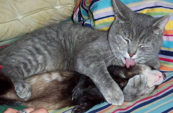 Взято с яндекс рисунки