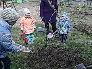 Наши детки молодцы