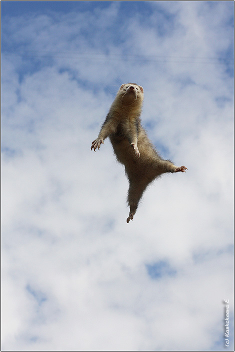 Взято с яндекс рисунки