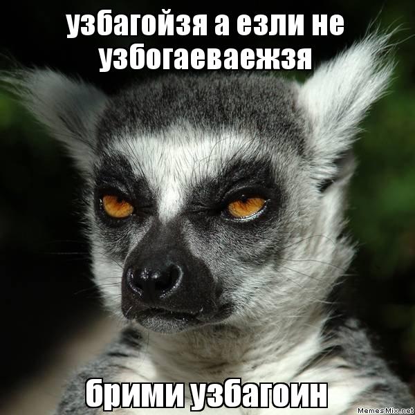 узбагойзя))))))