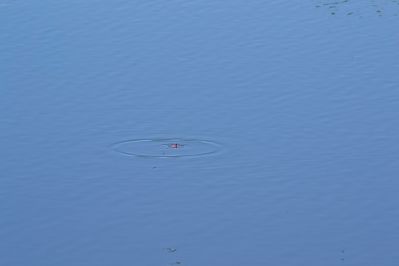 Фото №9 - Почти Малевич "Красный поплавок"