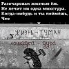 жизнь туман, лошадка дура)))))