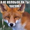а калабок ли ты часом?))))