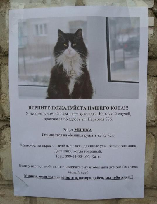 26acf43047c69a387239a3ec8b4 prev