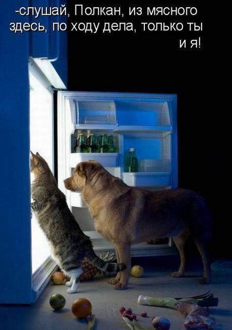 Размышления у холодильника ))))