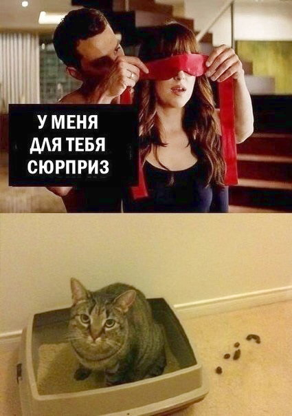 сюрприииииз))))))
