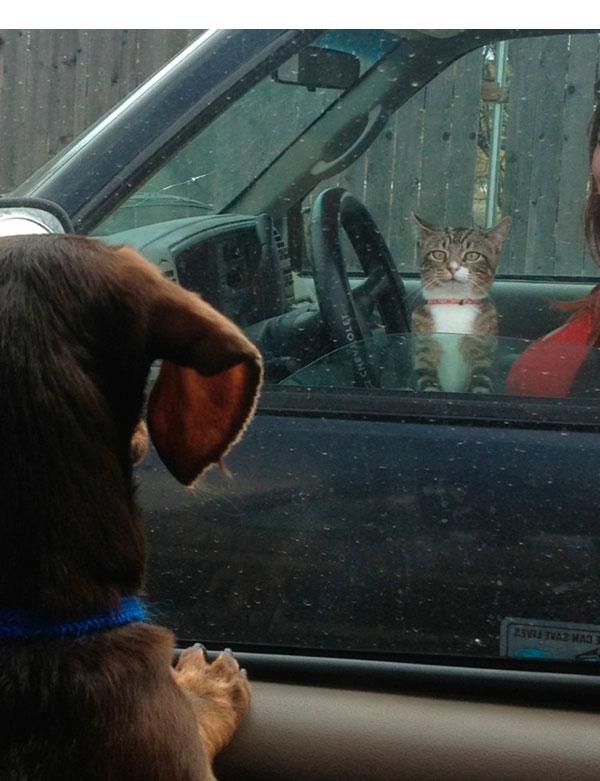 их разделяла, сплошная )))