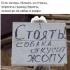стоять! собака откусит ж))))))