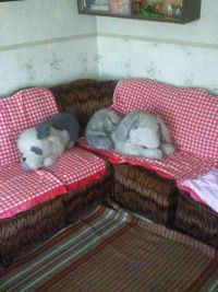 Диванчег агародный))))