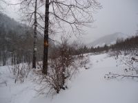 поляна Горелая