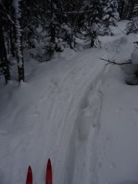 лыжня рыхлая, извилистая