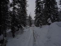 близка вершина