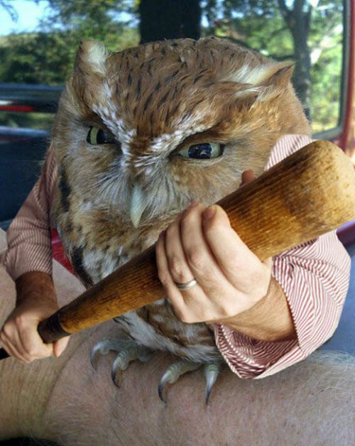 Атмароженый фотожоп))))))