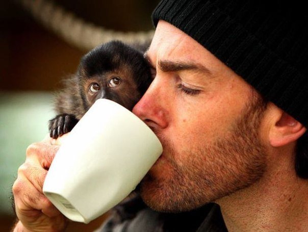 Дегустаторы)))))))))